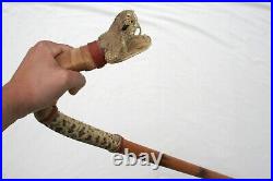 Vintage Pit Viper Rattlesnake Cane Carnival Circus Taxidermy Walking Stick Snake