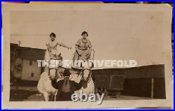 Vintage World At Home Shows Female Horse Daredevils Circus Carnival Photo IL Fl