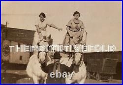 Vintage World At Home Shows Female Horse Daredevils Circus Carnival Photo IL Fl