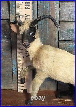 Vtg Antique Victorian Miniature Antelope Kudu Taxidermy Circus Zoo Glass Eyes
