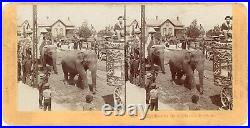 WISCONSIN SV Baraboo Circus Parade With Elephants Northwestern View Co